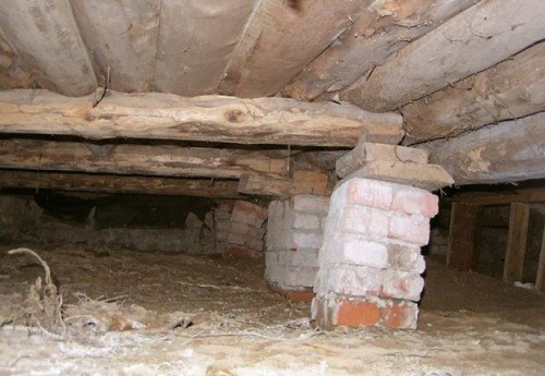 111-500x345.jpg