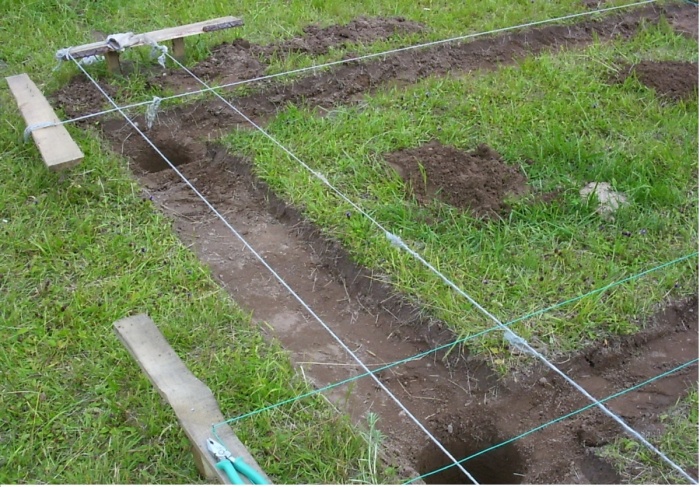 1314_4.jpg