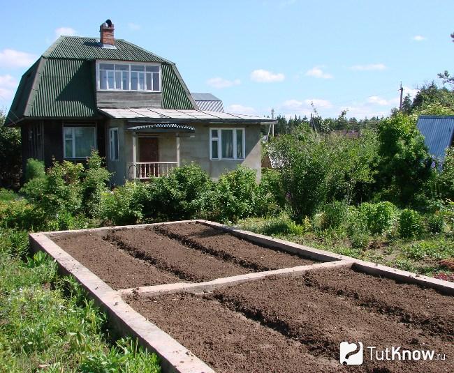 1498423007_lentochnyy-fundment-pod-teplicu.jpg