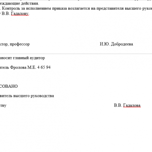 Prikaz-o-provedenii-vnutrennego-audita-2-150x150@2x.png