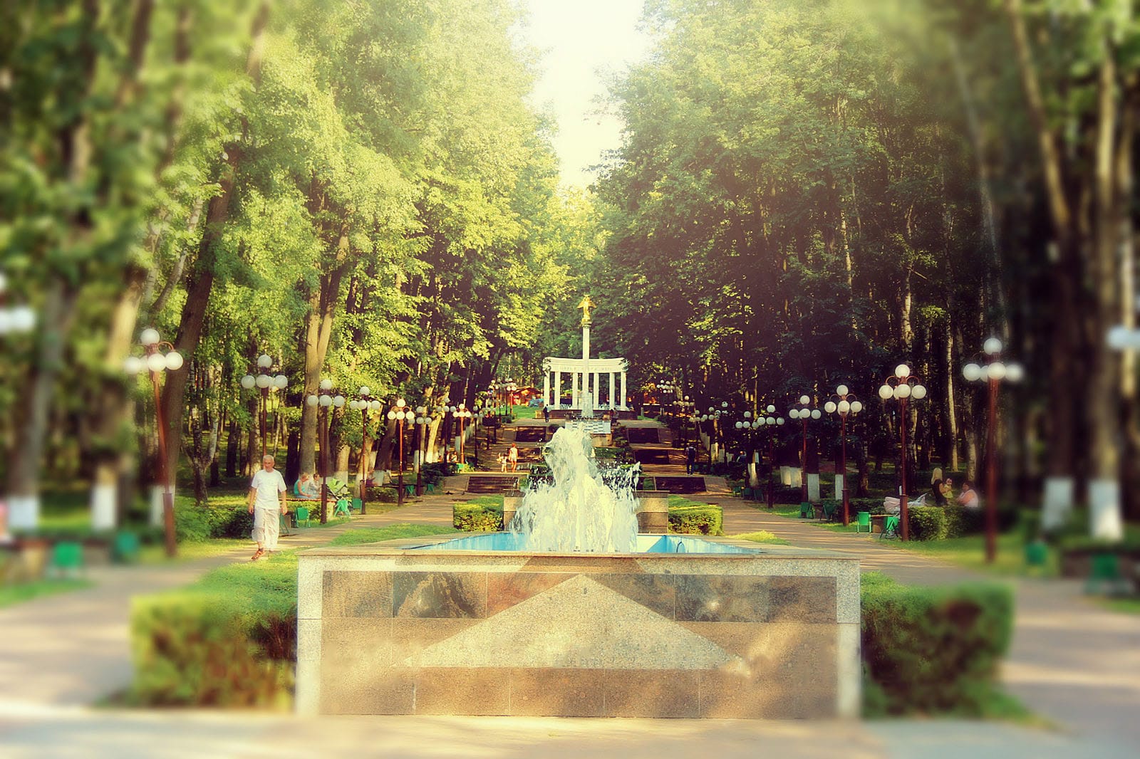 berezovaya_roshcha.jpg