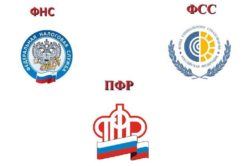 organizacii-250x166.jpg