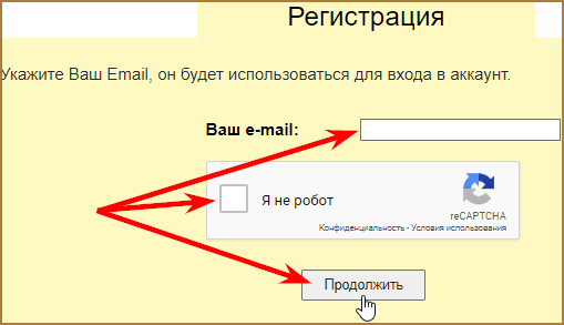 registratsiya-v-New-Birds-shag-1.png