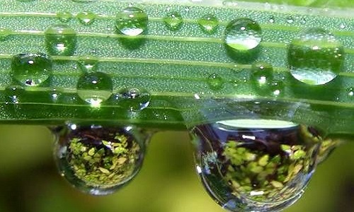 evaporation.jpg