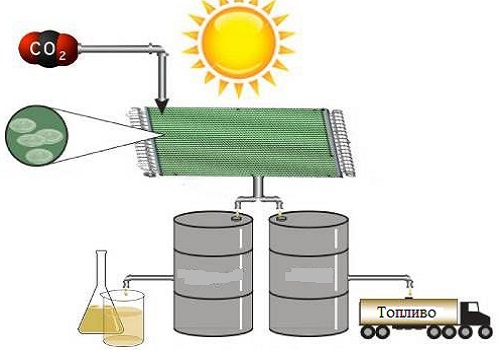 helioculture.jpg